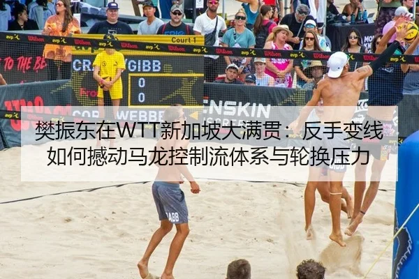 fan-zhen-dong-zai-xin-jia-po-da-man-guan-fan-shou-bian-xian-ru-he-han-dong-ma-long-kong-zhi-liu-ti-xi-yu-lun-huan-ya-li-2-364.jpg