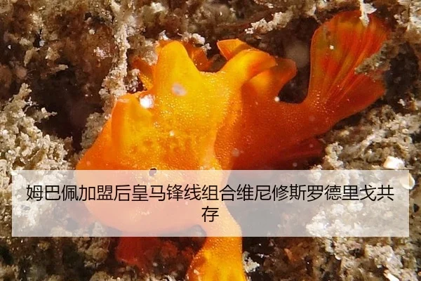 mu-ba-pei-jia-meng-hou-huang-ma-feng-xian-zu-he-wei-ni-xiu-si-luo-de-li-ge-gong-cun-2-996.jpg