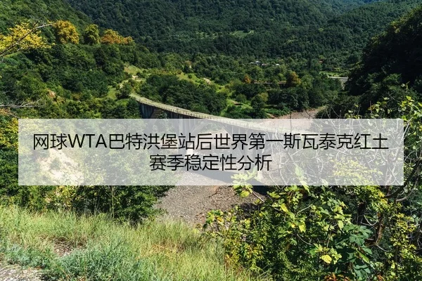 wang-qiu-ba-te-hong-bao-zhan-hou-shi-jie-di-yi-si-wa-tai-ke-hong-tu-sai-ji-wen-ding-xing-fen-xi-2-766.jpg