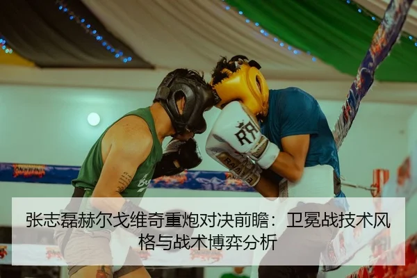 张志磊赫尔戈维奇重炮对决前瞻：卫冕战技术风格与战术博弈分析